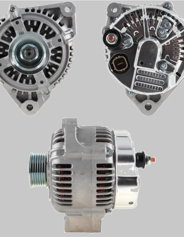 jaguarrrrrrrrrrrrrrrrr